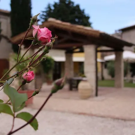 Il Cortile Delle Rose House *